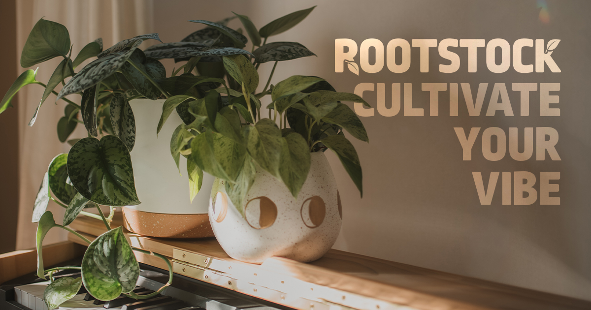Cultivate Your Vibe at Rootstock
